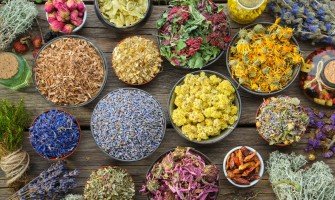 Erbe officinali brucia grassi