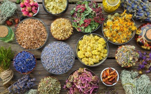 Erbe officinali brucia grassi Erbe officinali brucia grassi