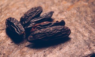 Fave Tonka: Esplorazione della ricca storia e degli usi culinari