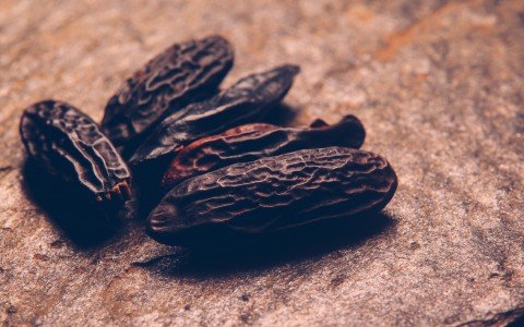 Fave Tonka: Esplorazione della ricca storia e degli usi culinari Fave Tonka: Esplorazione della ricca storia e degli usi culinari