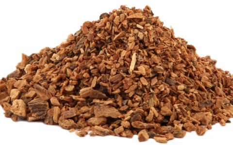 Genziana radice e i suoi benefici e proprietà Genziana radice e i suoi benefici e proprietà