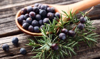 Le Bacche di Ginepro: Un Ingrediente Segreto per Esaltare i tuoi Piatti