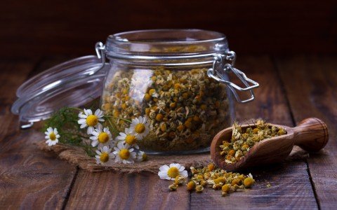 Infuso di camomilla Infuso di camomilla