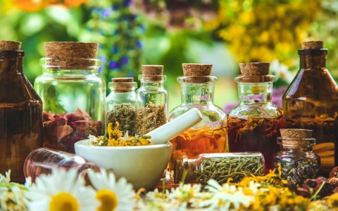 Piante medicinali per il benessere della donna Piante medicinali per il benessere della donna