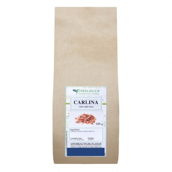 Carlina radice taglio tisana Carlina radice taglio tisana