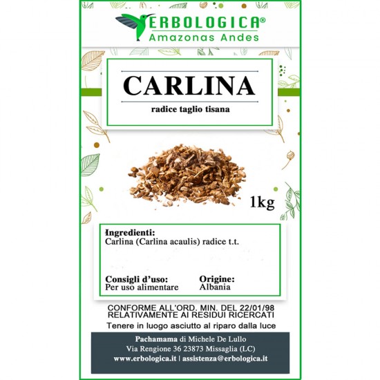 Carlina radice taglio tisana Carlina radice taglio tisana
