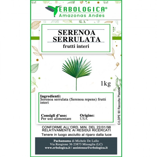 Serenoa serrulata frutti interi Serenoa serrulata frutti interi