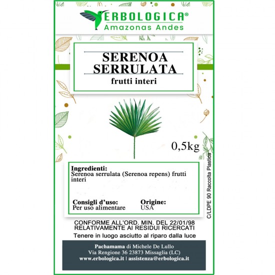 Serenoa serrulata frutti interi Serenoa serrulata frutti interi