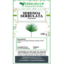 Serenoa serrulata frutti interi
