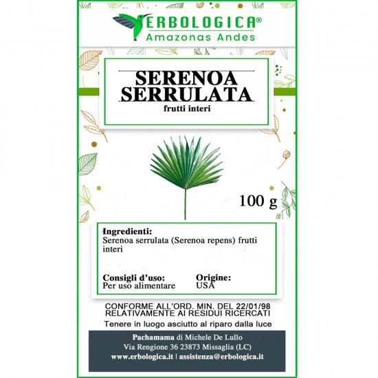 Serenoa serrulata frutti interi Serenoa serrulata frutti interi