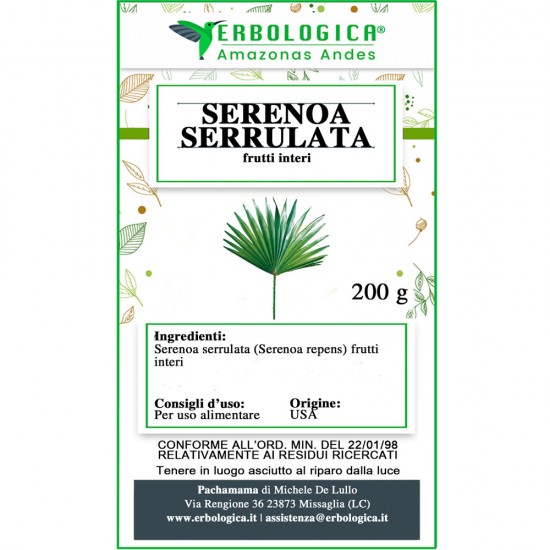 Serenoa serrulata frutti interi Serenoa serrulata frutti interi