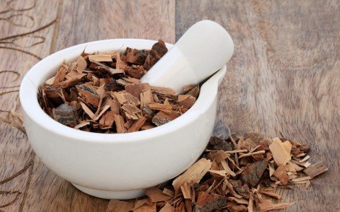 Benefici della Serenoa repens e modalità d'uso Benefici della Serenoa repens e modalità d'uso