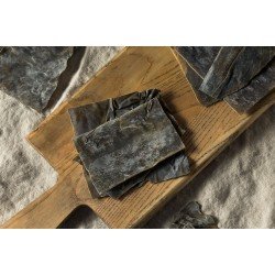 Alga Kelp tallo Alga Kelp tallo