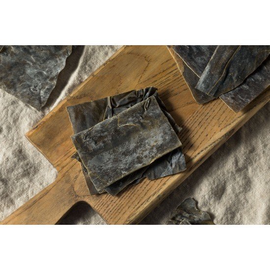 Alga Kelp tallo Alga Kelp tallo