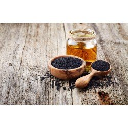 cumino nero semi ( nigella sativa ) cumino nero semi ( nigella sativa )