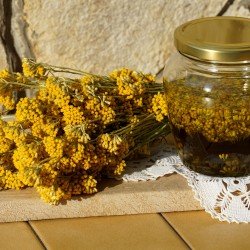 Elicriso fiori tisana Elicriso fiori tisana