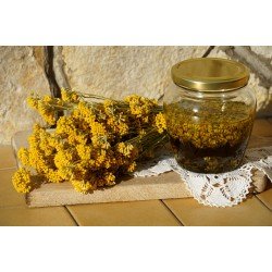 Elicriso fiori tisana Elicriso fiori tisana