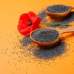 Papavero semi interi Papavero semi interi