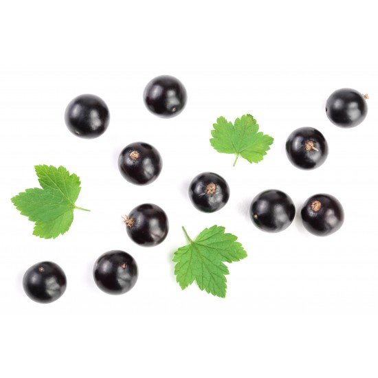 Ribes nero foglie taglio tisana Ribes nero foglie taglio tisana