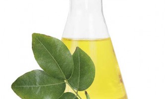 Olio di copaiba e i suoi benefici