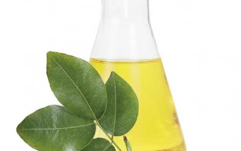 Olio di copaiba e i suoi benefici Olio di copaiba e i suoi benefici