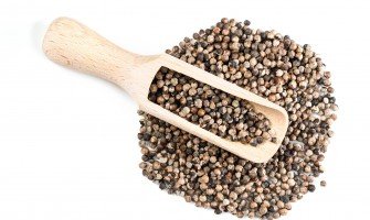 Agnocasto frutti usi e benefici