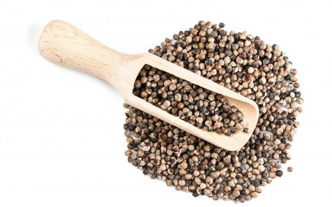 Agnocasto frutti usi e benefici Agnocasto frutti usi e benefici