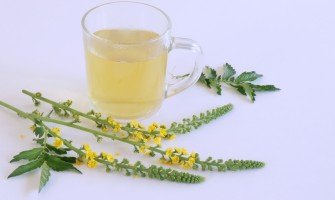 Agrimonia pianta benefici e usi