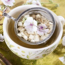 Altea radice in polvere Altea radice in polvere