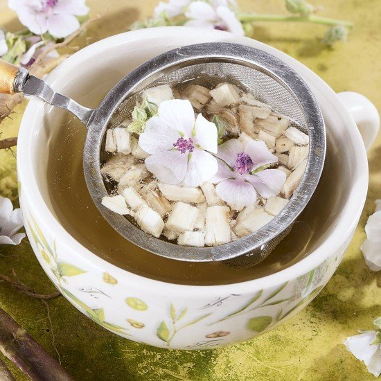 Altea radice in polvere Altea radice in polvere