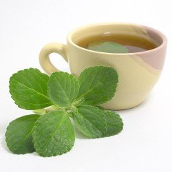 Boldo foglie tisana Boldo foglie tisana