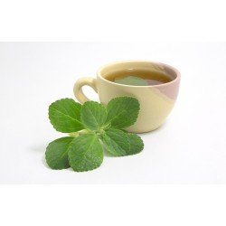 Boldo foglie tisana Boldo foglie tisana