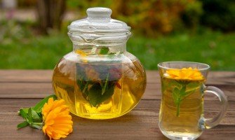 La calendula e le sue proprietà benefiche
