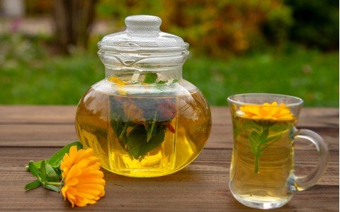 La calendula e le sue proprietà benefiche La calendula e le sue proprietà benefiche