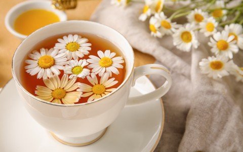 Camomilla e i suoi benefici Camomilla e i suoi benefici