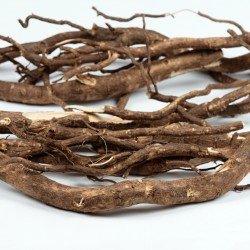 Eleuterococco radice taglio tisana Eleuterococco radice taglio tisana