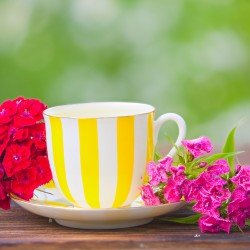 Tisana erbe di montagna Tisana erbe di montagna