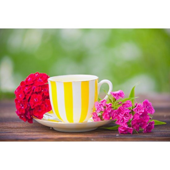 Tisana erbe di montagna Tisana erbe di montagna