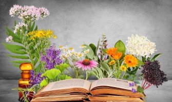 Erbe sfuse per tisane guida completa all'Erboristeria e Fitoterapia