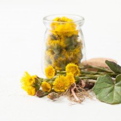 Farfara foglie taglio tisana Farfara foglie taglio tisana