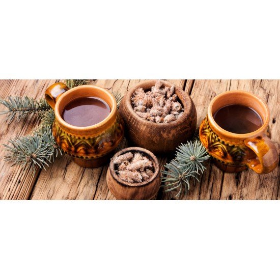 Pino gemme taglio tisana Pino gemme taglio tisana