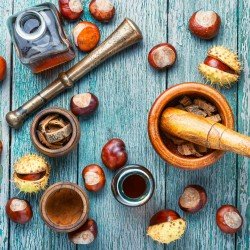 Ippocastano corteccia tisana 