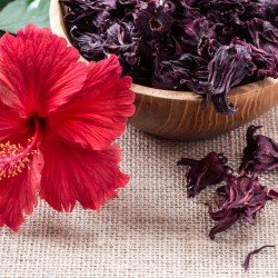 Karkade Ibisco fiori in polvere Karkade Ibisco fiori in polvere