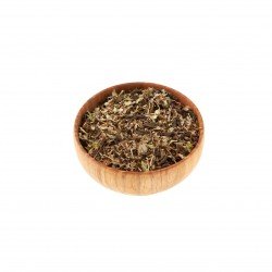 Spaccapietra pianta taglio tisana Spaccapietra pianta taglio tisana