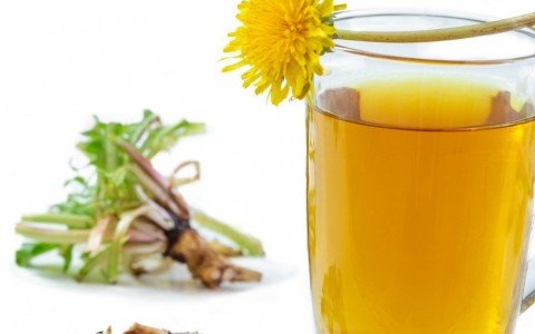 Usi e benefici della radice di tarassaco Usi e benefici della radice di tarassaco