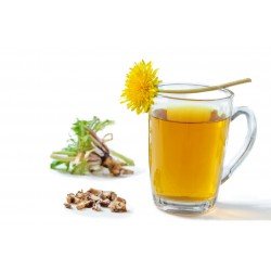 Tarassaco radice in polvere Tarassaco radice in polvere