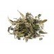 Tè bianco foglie intere Pai mu Tan