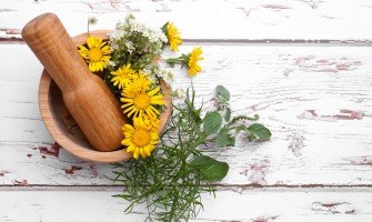 L'arnica: tutti i suoi benefici e i suoi usi
