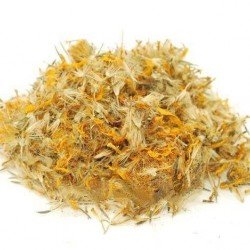 Arnica messicana fiori taglio tisana Arnica messicana fiori taglio tisana