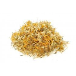 Arnica messicana fiori taglio tisana Arnica messicana fiori taglio tisana